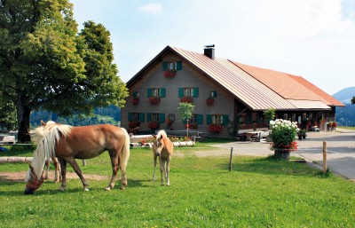 alpe1 alpe1
