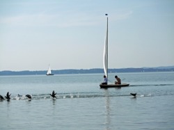 Chiemsee