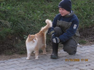 img_0398 img_0398