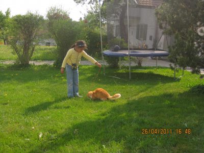 img_3960 img_3960