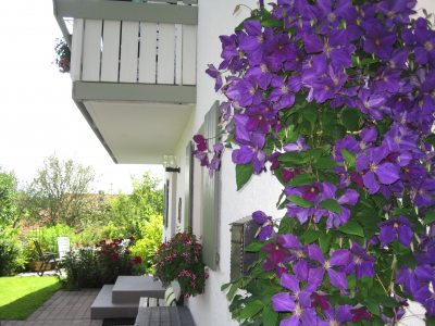 img_7239 img_7239