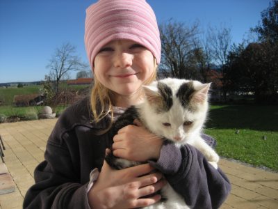 Katze Katze