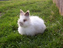 Unser Osterhase Unser Osterhase
