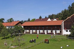 Bayerwald-Ferienhof Eppenschlag Bayerwald-Ferienhof Eppenschlag