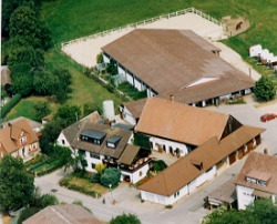 Ferienhaus Gaby + Klaus Weiß Burgthann Ferienhaus Gaby + Klaus Weiß Burgthann