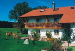 Haflingerhof Wessobrunn Haflingerhof Wessobrunn