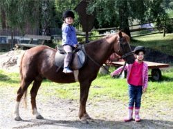 Reiter- und Ponyhof Wegmann Waldershof