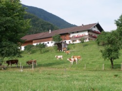 Unterulpoint-Hof Bad Feilnbach Unterulpoint-Hof Bad Feilnbach