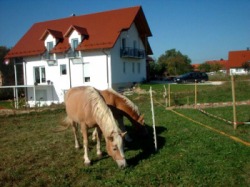 Gästehaus Egger Burtenbach bei Günzburg