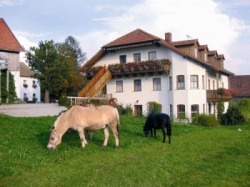 Wouznhof Waldmünchen Wouznhof Waldmünchen