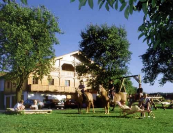 Peterkainhof Petting