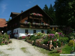 Familiennest Pauli Böbrach Familiennest Pauli Böbrach