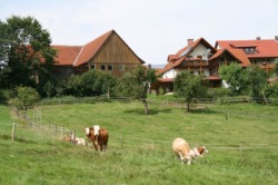 Ferienhof Hübner-Wagner Ködnitz Ferienhof Hübner-Wagner Ködnitz