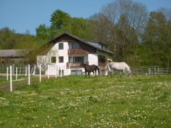 Niederbayernalm Stubenberg Niederbayernalm Stubenberg