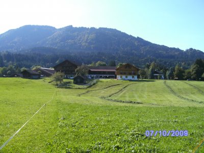 bild0245 bild0245