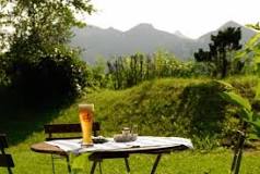 Gasthof Ott Gasthof Ott