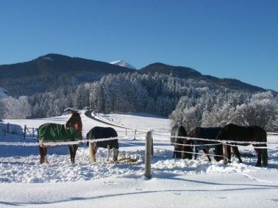 Goebelhof Goebelhof