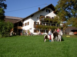Biohof Marxhof Böbing Biohof Marxhof Böbing