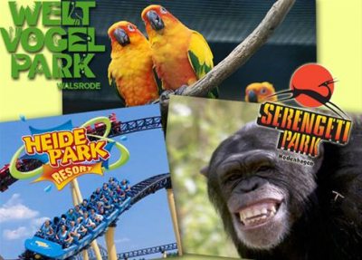 lneburgerheidefreizeitpark lneburgerheidefreizeitpark