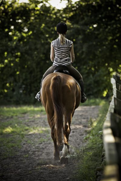 Erste Reitstunde Erste Reitstunde