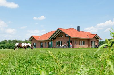 Garten mit Pony Garten mit Pony