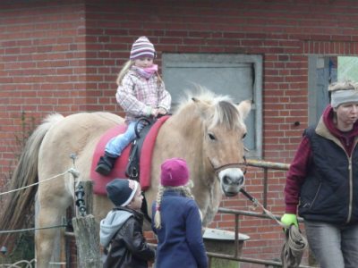 Kinder auf dem Pferd Reika Kinder auf dem Pferd Reika