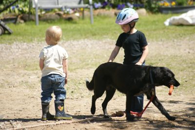 Hofhund Linda mit Kindern Hofhund Linda mit Kindern