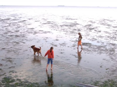 kinder_mit_hund_watt_k_muelbe kinder_mit_hund_watt_k_muelbe