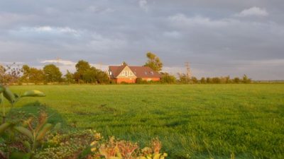 Ferienhaus im Koog Ferienhaus im Koog