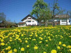 Ferienhof Frei Isny Ferienhof Frei Isny