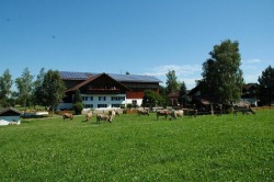 Ferienhof Barensteiner Sulzberg