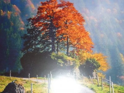Herbst im Allgäu Herbst im Allgäu