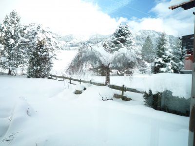 Blick in den Garten Blick in den Garten