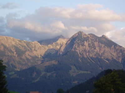 viehscheid06014 viehscheid06014