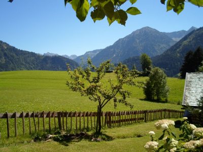 Garten Garten