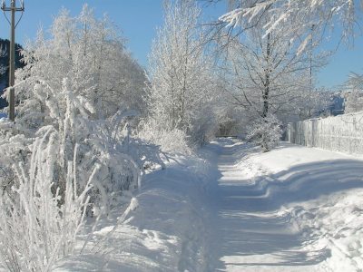 Winterspaziergang Winterspaziergang