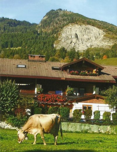 Haus Zint Haus Zint