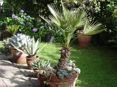 Im Garten Im Garten