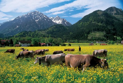 Bad Oberdorf Bad Oberdorf