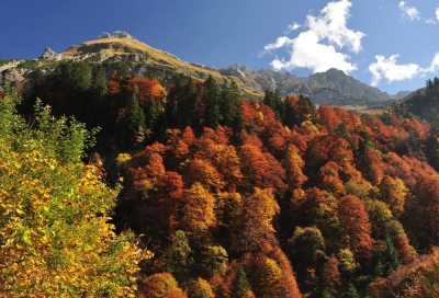 Herbst im Ostrachtal Herbst im Ostrachtal