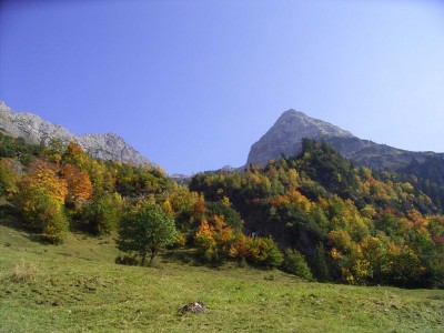 Herbst Herbst