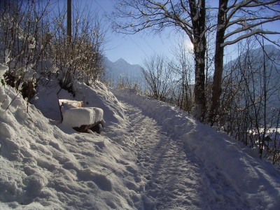 Winter Winter