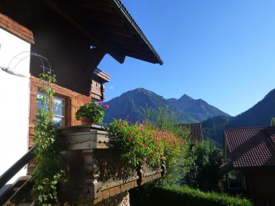 Ausblick Ausblick