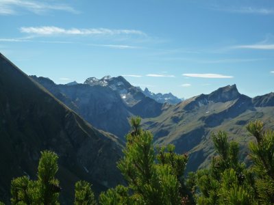 Panorama Panorama