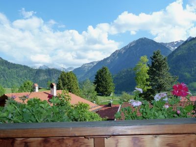 Ausblick im Sommer Ausblick im Sommer