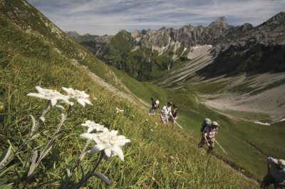 fotoedelweisshimmeleck_9680kopie_um fotoedelweisshimmeleck_9680kopie_um