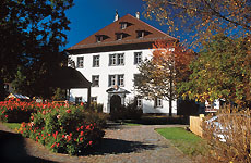 rathaus rathaus