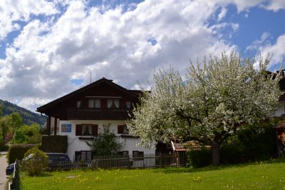 dsc_0687 dsc_0687