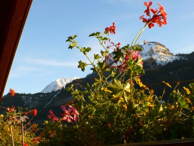 FW Sina Blick vom Balkon FW Sina Blick vom Balkon