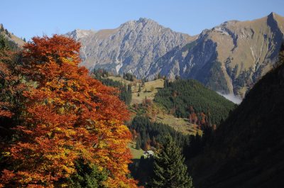 Herbst im Obertal Herbst im Obertal